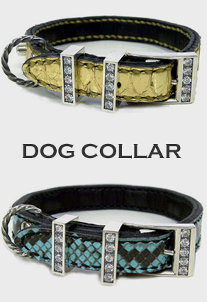 DOG COLLAR